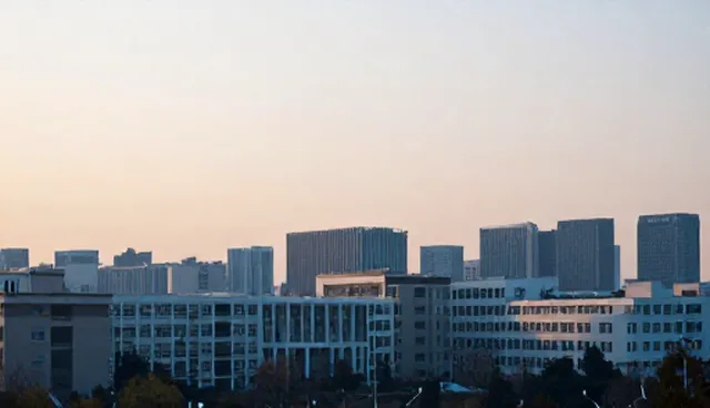 信息查询平台使用不当如何影响贸易效率